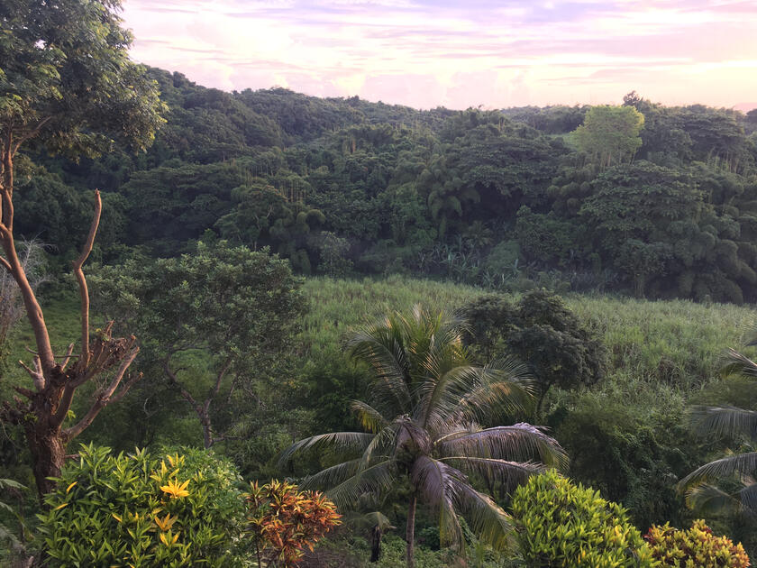 Jamaica - East Coast